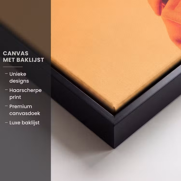 Canvas met lijst - Kat - Zonnebril - Jas - Oranje — 5