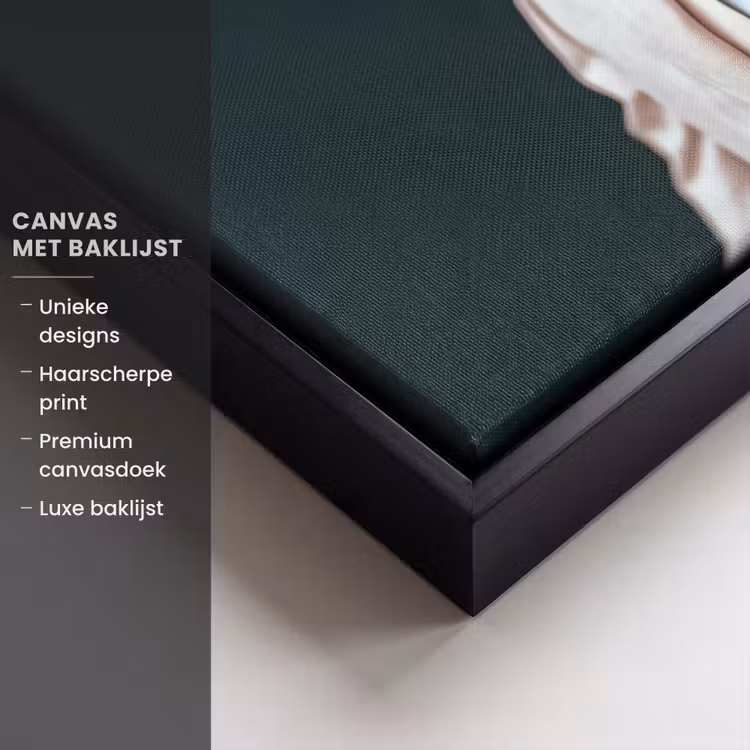 Canvas met lijst - Kikker - Pak - Roze — 5