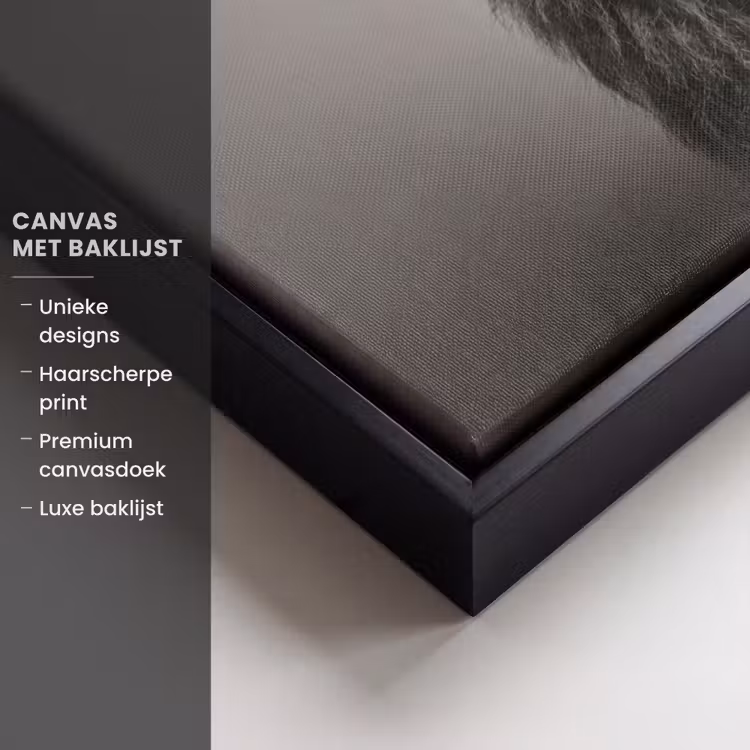 Canvas met lijst - Leeuw - Spa - Zwart - Wit — 5