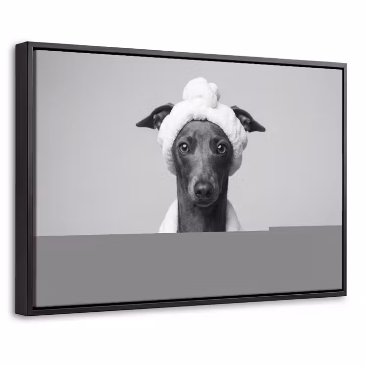 Canvas met lijst - Windhond - Badjas - Haarband - Portret — 1