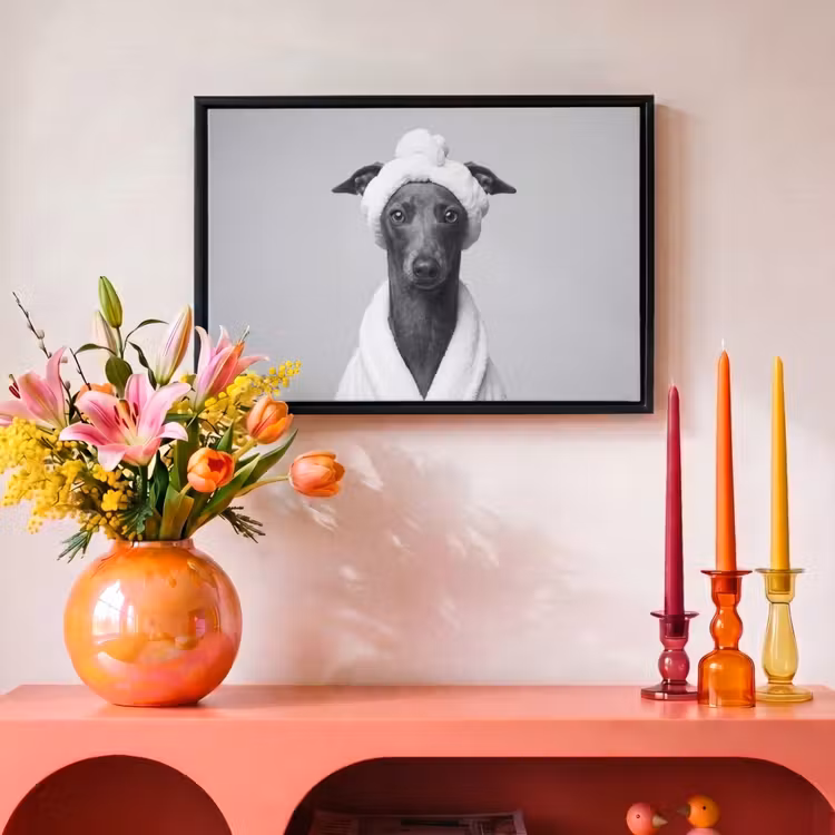 Canvas met lijst - Windhond - Badjas - Haarband - Portret — 4