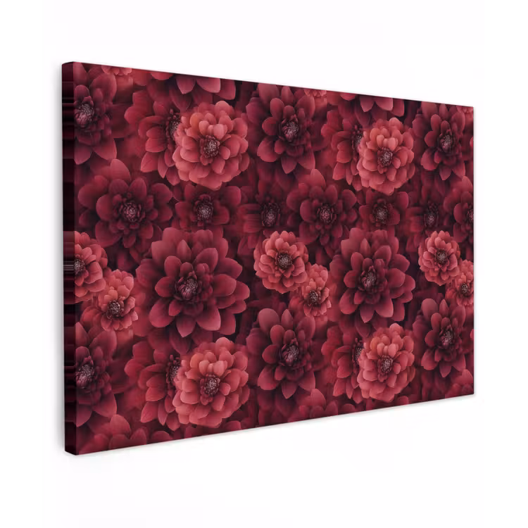 Canvas schilderij - Dahlias - Bloemen - Rood — 1
