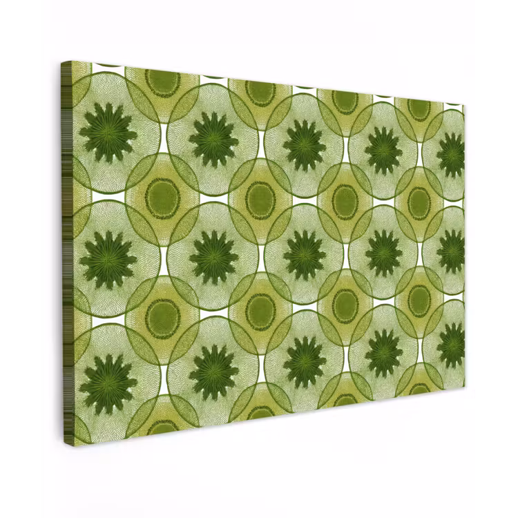 Canvas schilderij - Cirkels - Patroon - Groen — 1