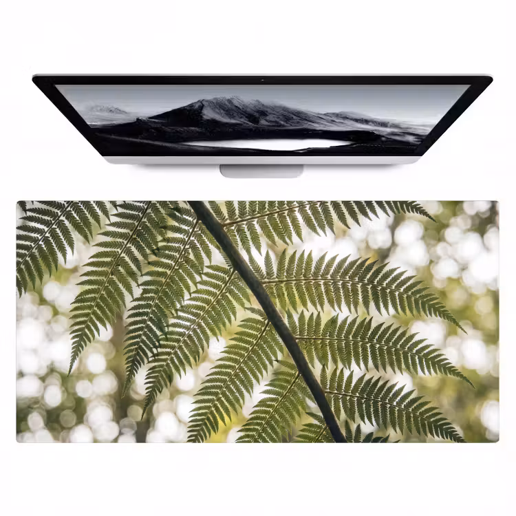 Bureau onderlegger - Plant - Blad - Natuur - Groen - Detail — 1
