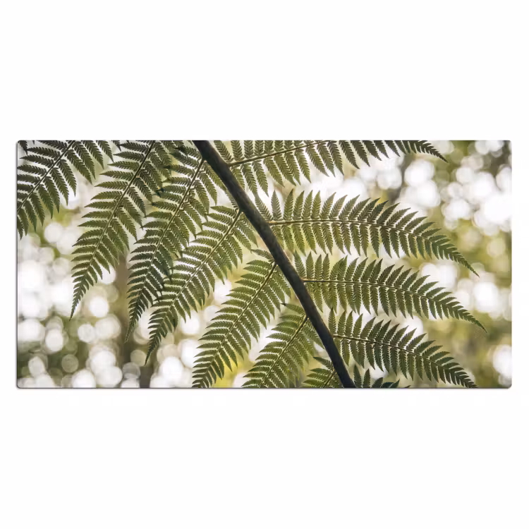 Bureau onderlegger - Plant - Blad - Natuur - Groen - Detail — 2
