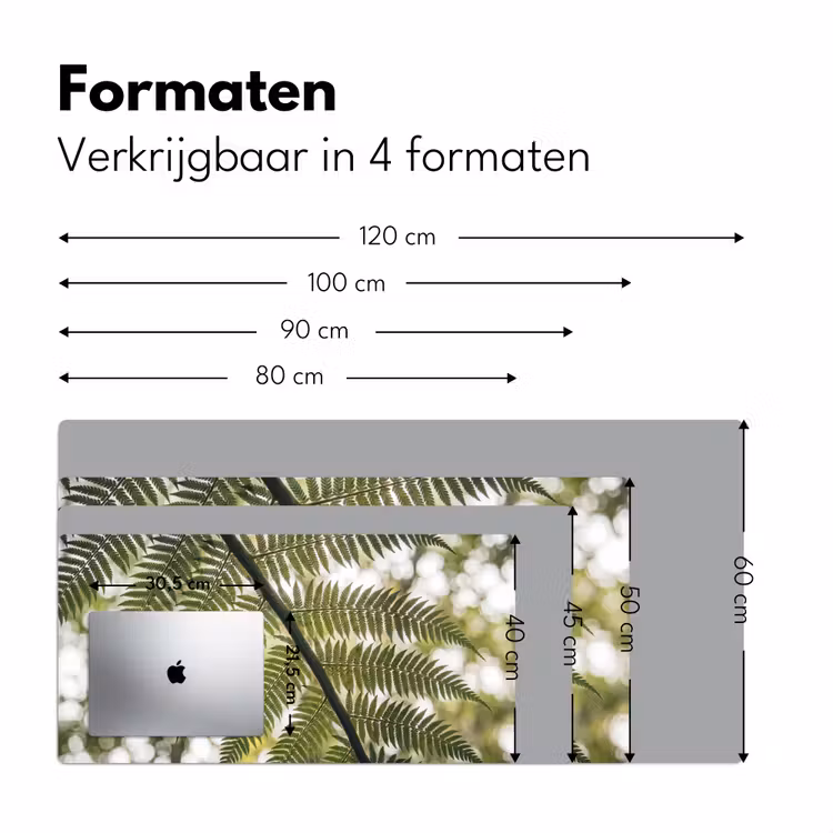 Bureau onderlegger - Plant - Blad - Natuur - Groen - Detail — 8
