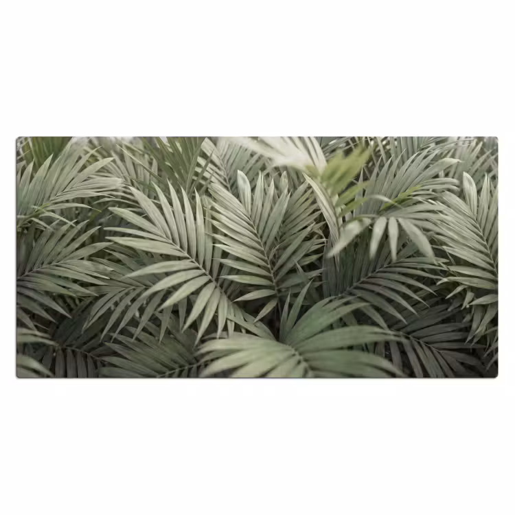 Bureau onderlegger - Plant - Palmbladeren - Natuur - Groen — 2