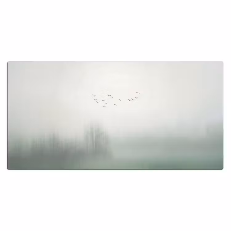 Bureau onderlegger - Vogel - Vlucht - Natuur - Minimalistisch — 2