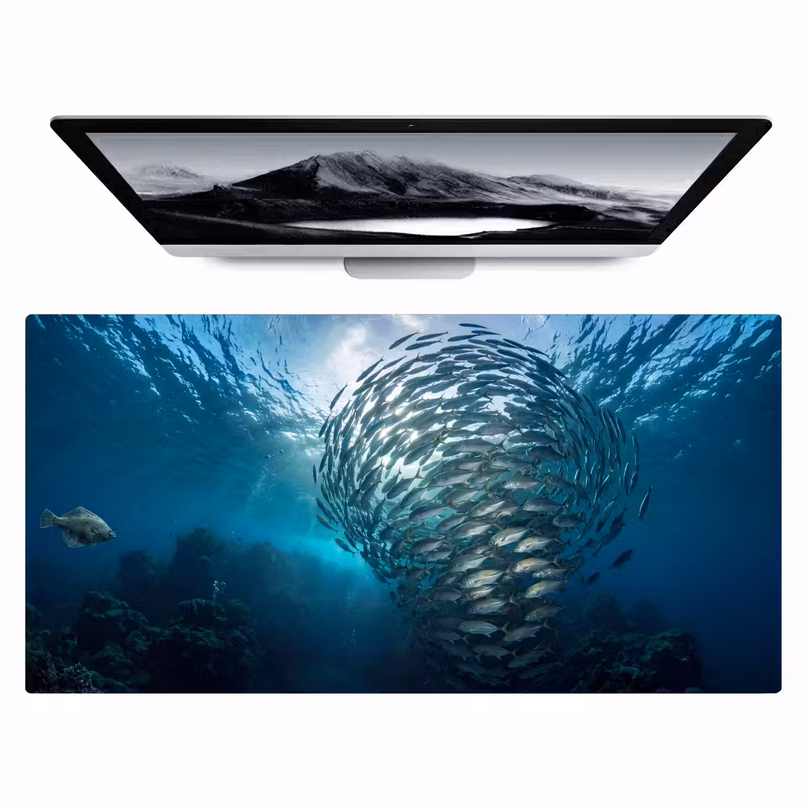 Bureau onderlegger - Vis - School - Oceaan - Natuur - Blauw — 1