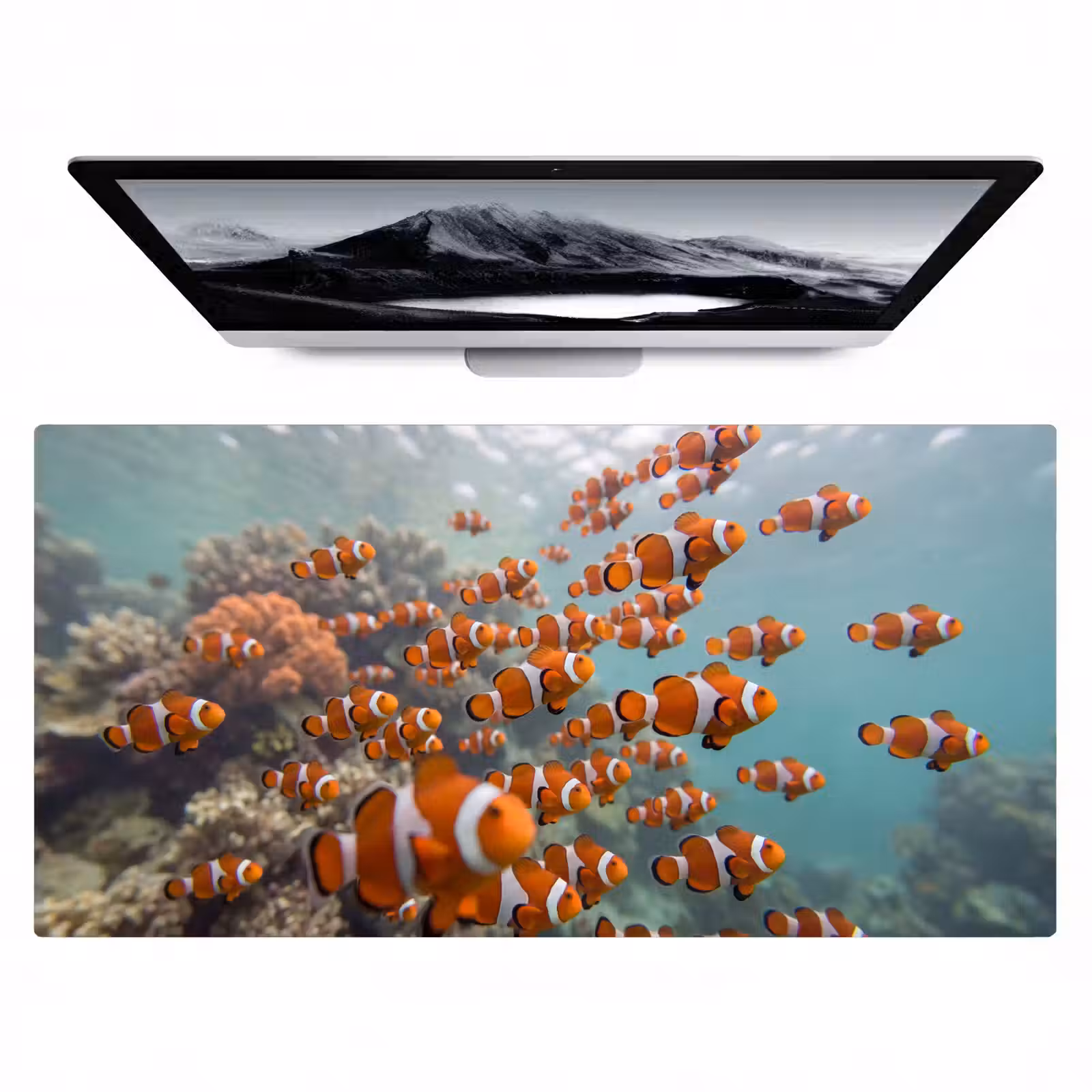 Bureau onderlegger - Vis - School - Onderwater - Dieren - Oranje — 1