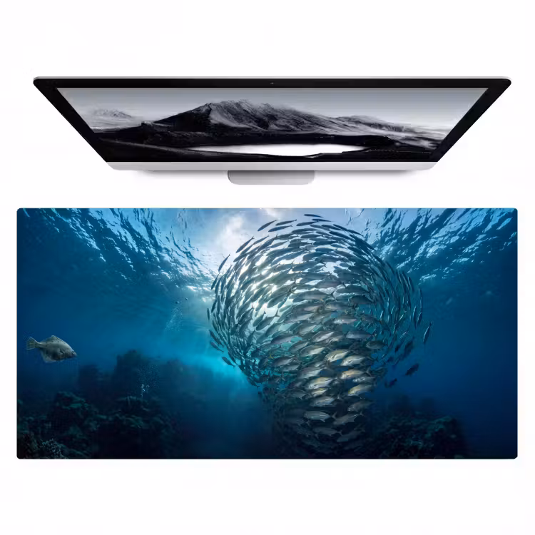 Bureau onderlegger - Vis - School - Oceaan - Natuur - Blauw — 1