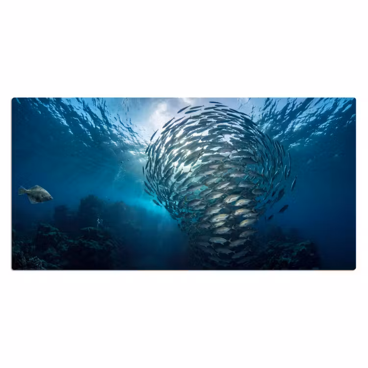 Bureau onderlegger - Vis - School - Oceaan - Natuur - Blauw — 2