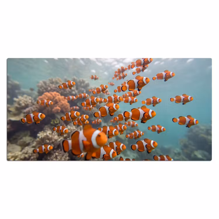 Bureau onderlegger - Vis - School - Onderwater - Dieren - Oranje — 2