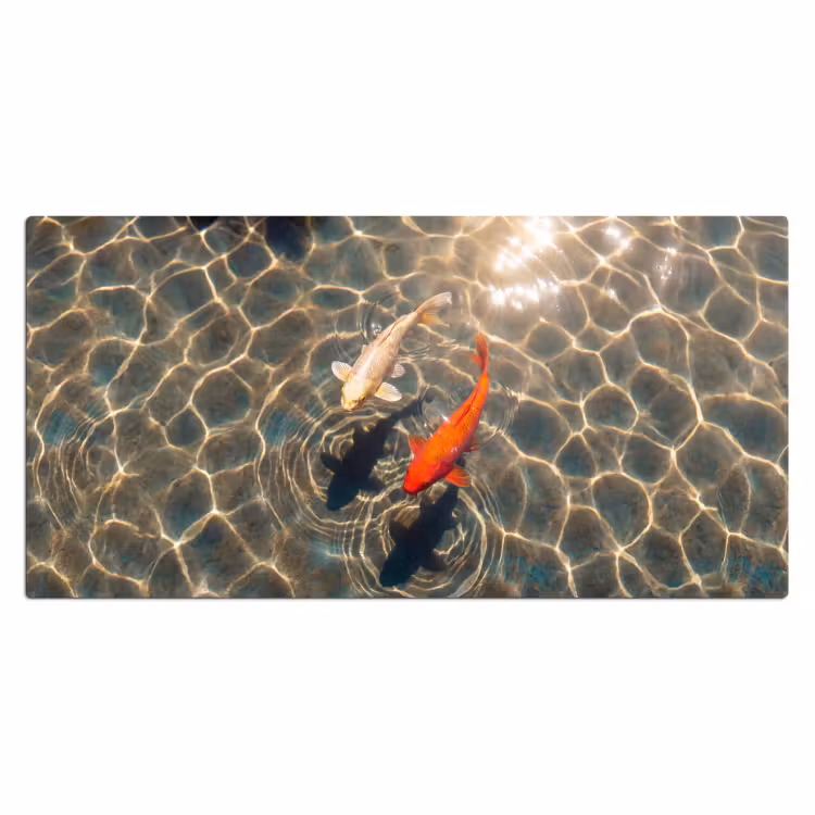 Bureau onderlegger - Vis - Water - Dieren - Oranje - Goud — 2