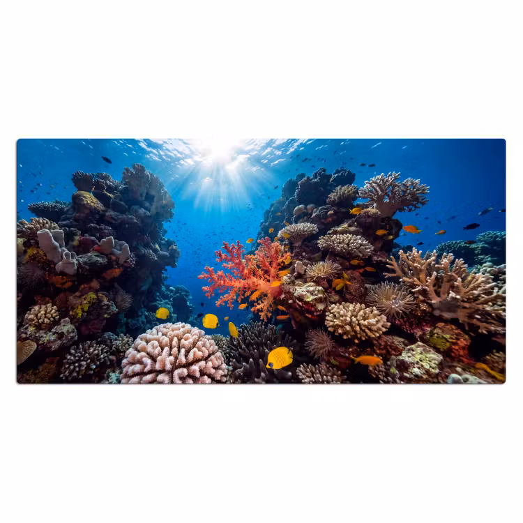 Bureau onderlegger - Zee - Koraalrif - Natuur - Levendig - Blauw — 2