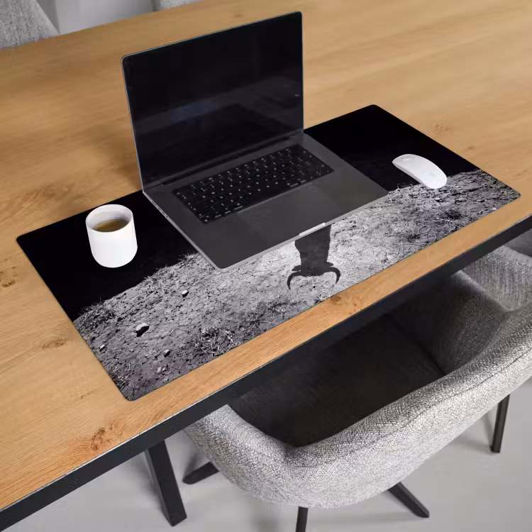 Bureau onderlegger - Stier - Schaduw - Dieren - Contrast - Zwart-wit — 3