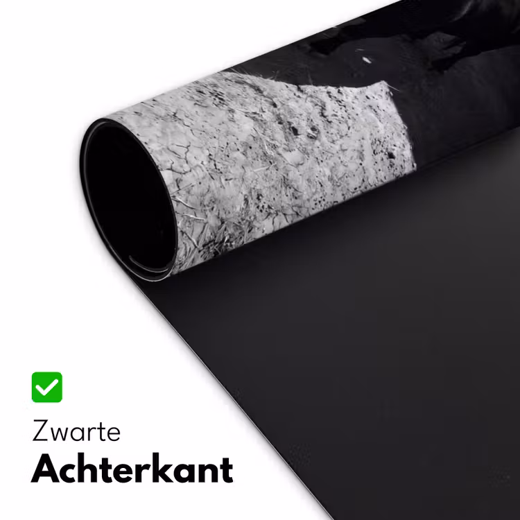Bureau onderlegger - Stier - Schaduw - Dieren - Contrast - Zwart-wit — 5