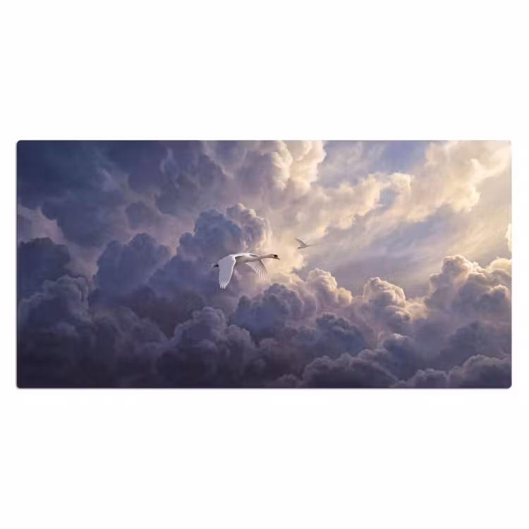 Bureau onderlegger - Vogel - Vliegend - Natuur - Wit - Wolken — 2