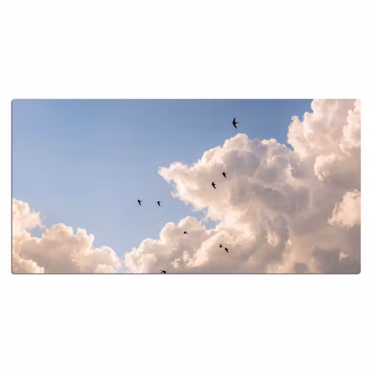 Bureau onderlegger - Vogel - Vlucht - Wolken - Natuur - Blauw — 2