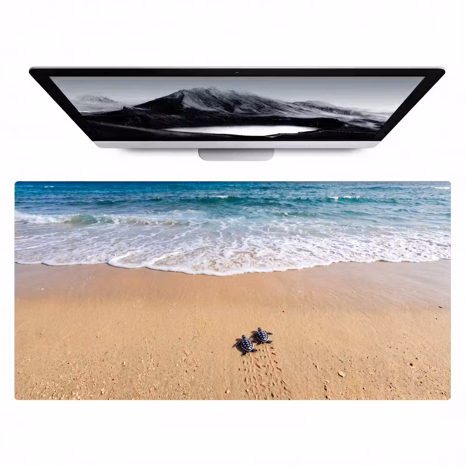Bureau onderlegger - Schildpad - Jong - Strand - Oceaan - Blauw — 1