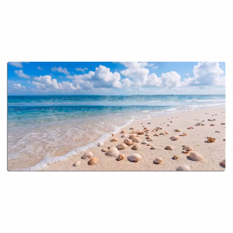 Bureau onderlegger - Schelpen - Strand - Natuur - Beige — 2