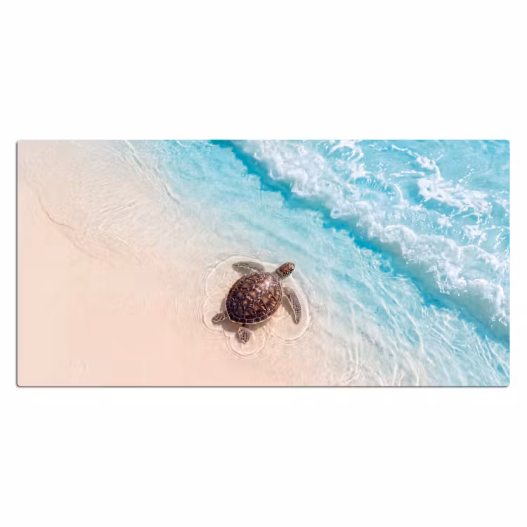 Bureau onderlegger - Schildpad - Helder water - Strand - Dieren - Natuur — 2