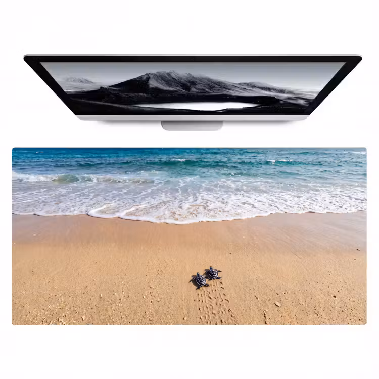 Bureau onderlegger - Schildpad - Jong - Strand - Oceaan - Blauw — 1