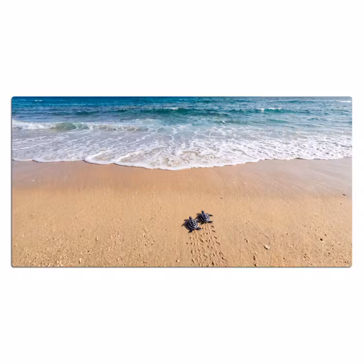 Bureau onderlegger - Schildpad - Jong - Strand - Oceaan - Blauw — 2