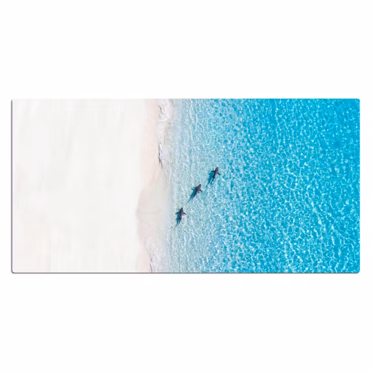 Bureau onderlegger - Vis - Oceaan - Strand - Turquoise - Natuur — 2