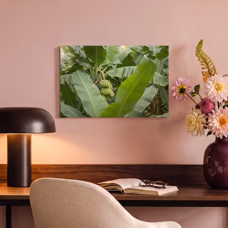 Canvas schilderij - Eten - Bananen - Plantage - Groen — 3