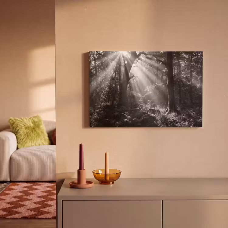Canvas schilderij - Bos - Lichtstralen - Natuur - Zwart-wit — 2