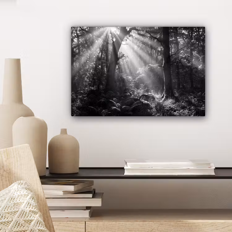 Canvas schilderij - Bos - Lichtstralen - Natuur - Zwart-wit — 5