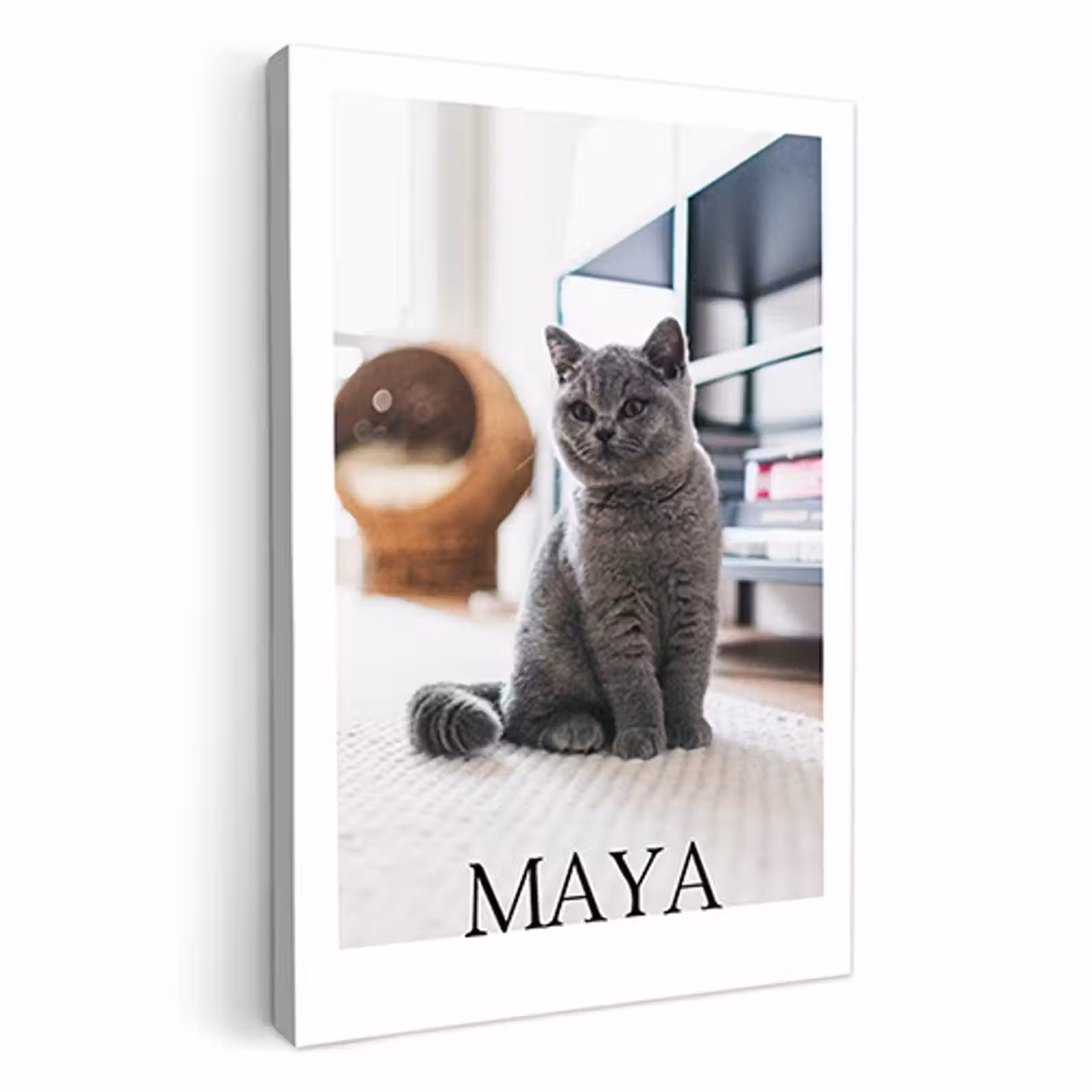 Canvas - Tijdschrift — 1