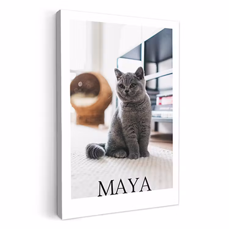 Canvas - Tijdschrift — 1