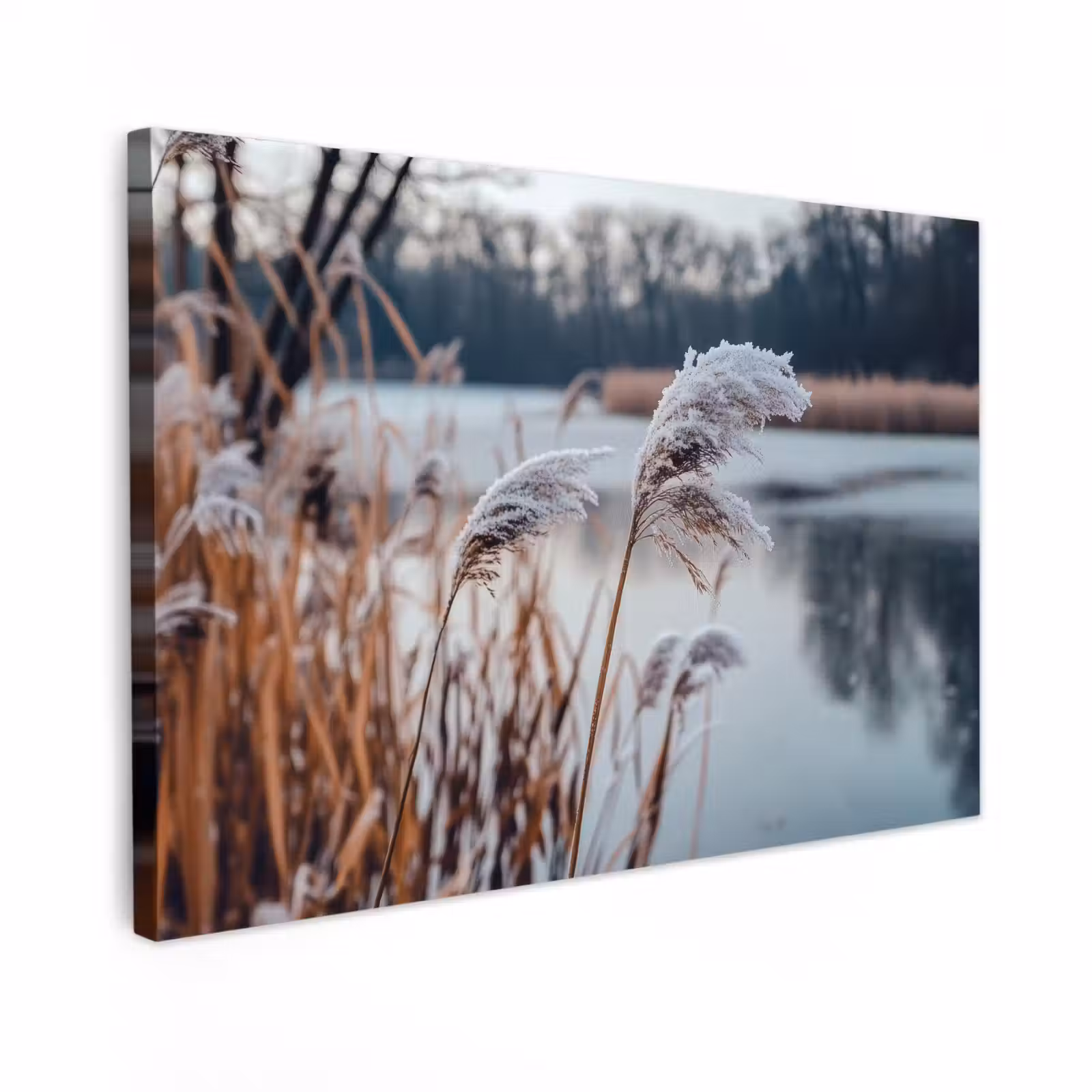 Canvas schilderij - Riet - Gras - Natuur - Winter - Meer — 1