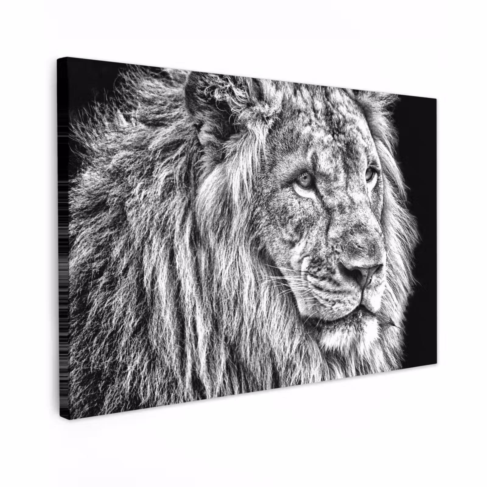 Canvas schilderij - Portret - Leeuw - Zwart wit — 1