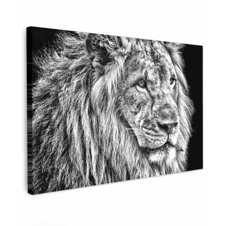Canvas schilderij - Portret - Leeuw - Zwart wit — 1