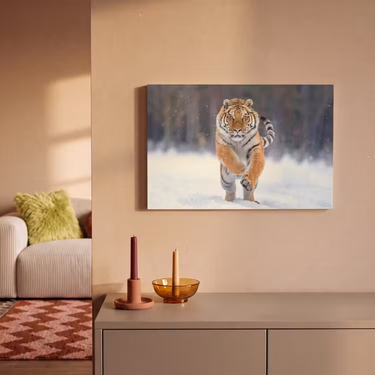 Canvas schilderij - Tijger - Landschap - Sneeuw - Winter - Dieren — 2
