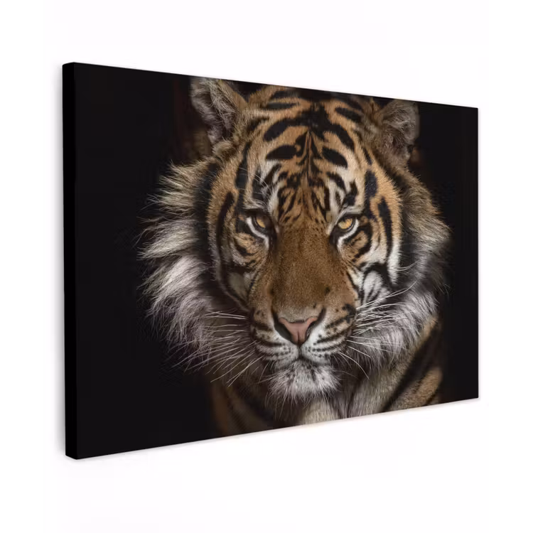 Canvas schilderij - Tijger - Wilde dieren - Portret — 1