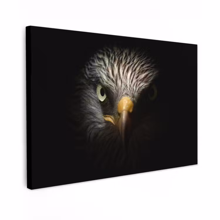 Canvas schilderij - Vogel - Adelaar - Roofvogels - Oog - Snavel - Licht — 1