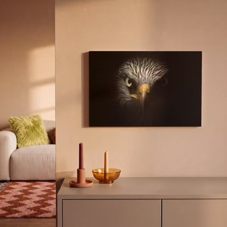Canvas schilderij - Vogel - Adelaar - Roofvogels - Oog - Snavel - Licht — 2