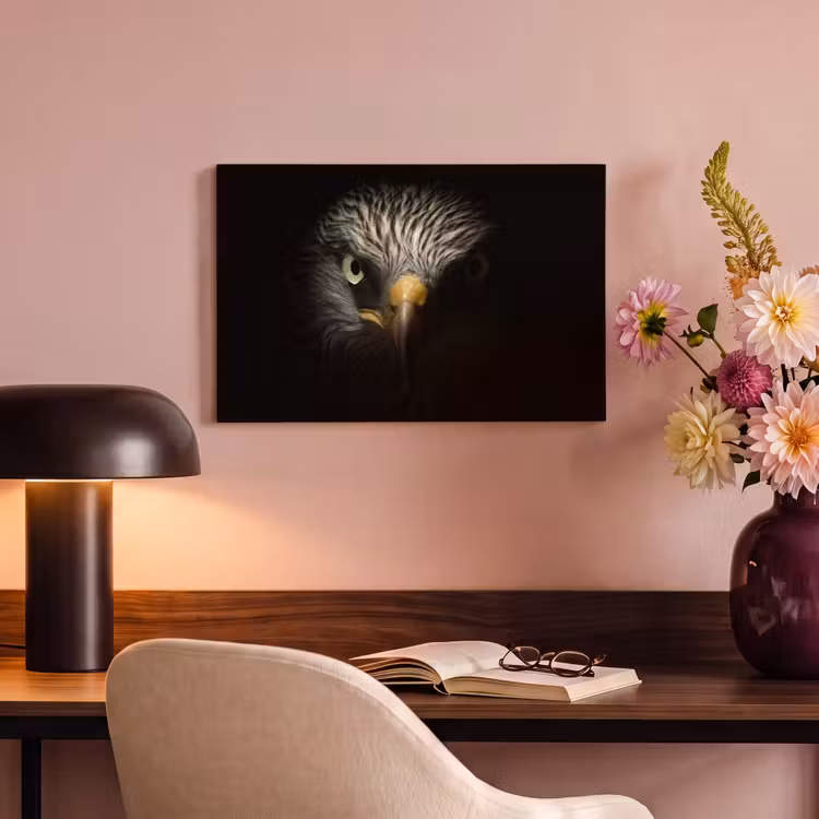 Canvas schilderij - Vogel - Adelaar - Roofvogels - Oog - Snavel - Licht — 4