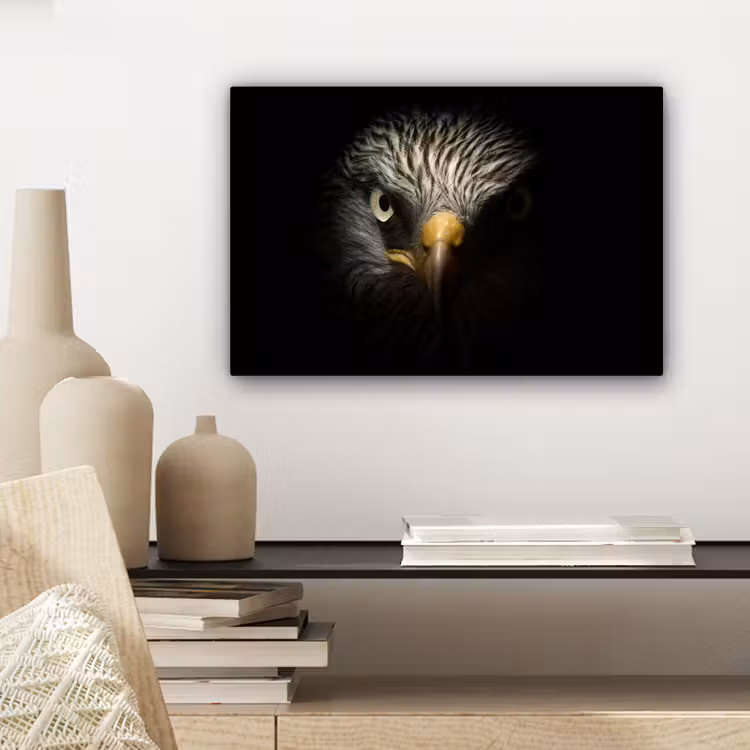 Canvas schilderij - Vogel - Adelaar - Roofvogels - Oog - Snavel - Licht — 5