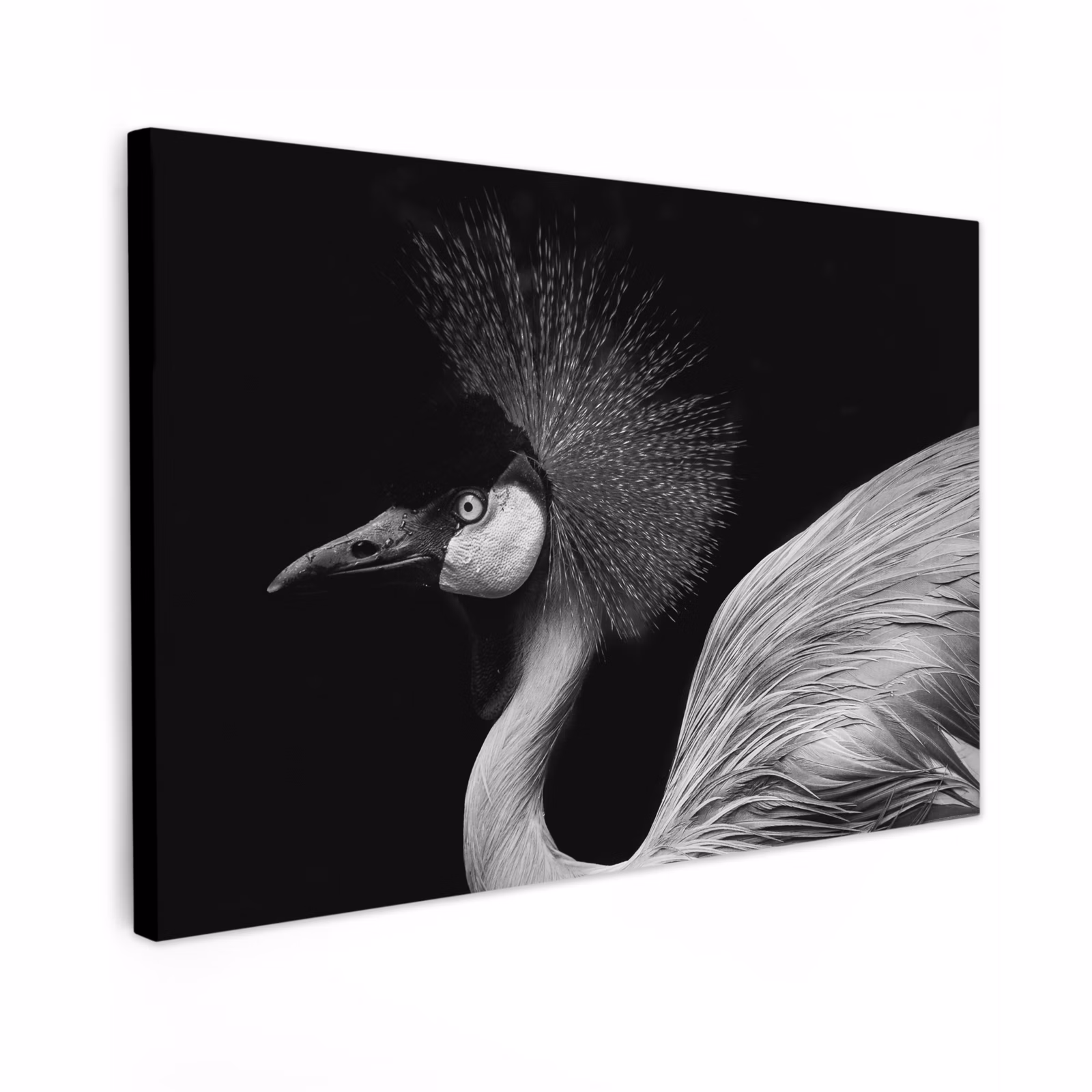 Canvas schilderij - Kraanvogel - Zwart - Wit - Vogel - Dieren — 1