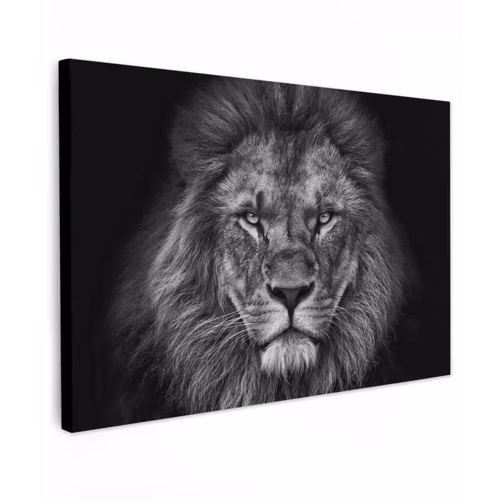 Canvas schilderij - Leeuw - Dieren - Zwart - Wit — 1