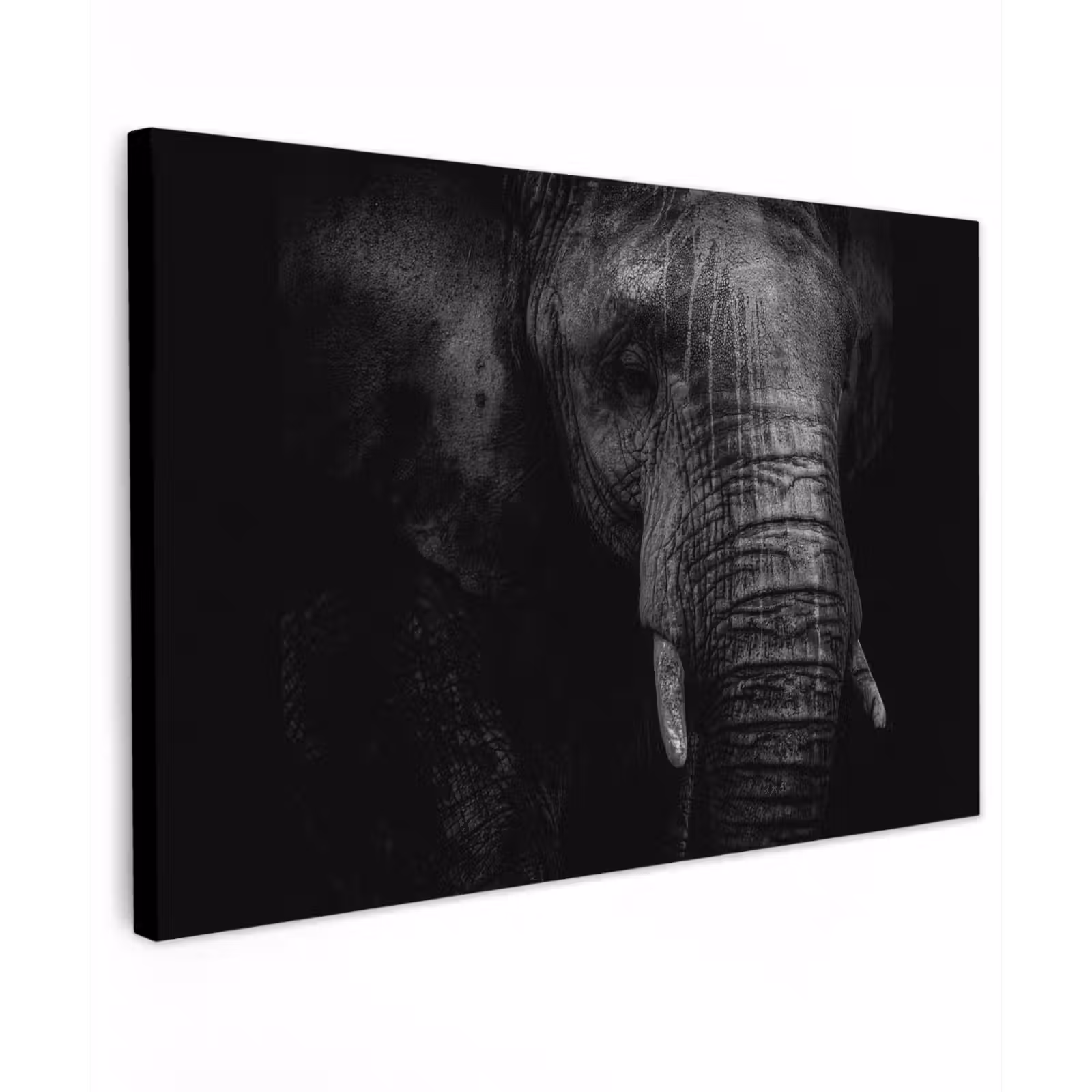 Canvas schilderij - Olifant - Dier - Portret — 1