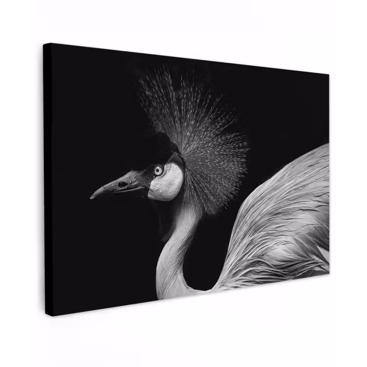 Canvas schilderij - Kraanvogel - Zwart - Wit - Vogel - Dieren — 1