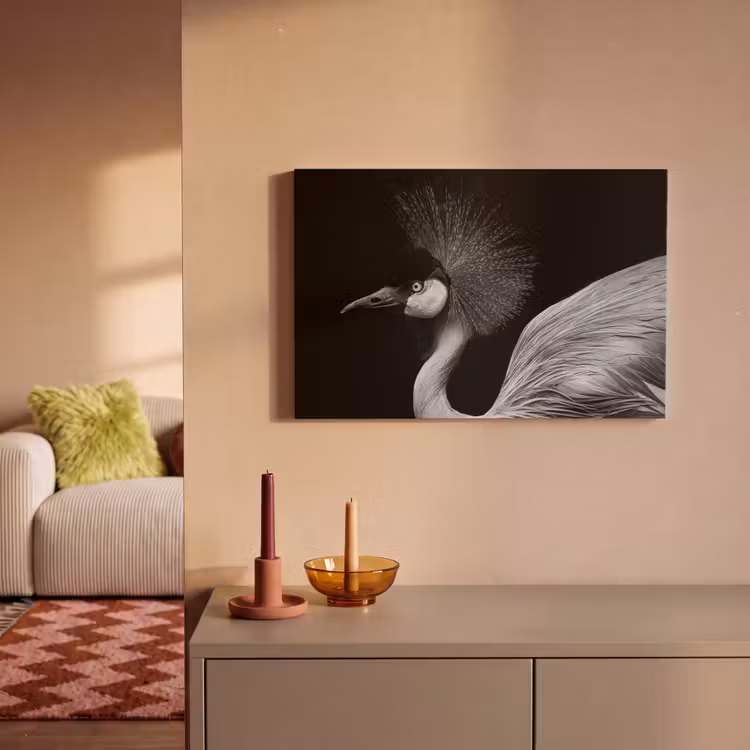 Canvas schilderij - Kraanvogel - Zwart - Wit - Vogel - Dieren — 2