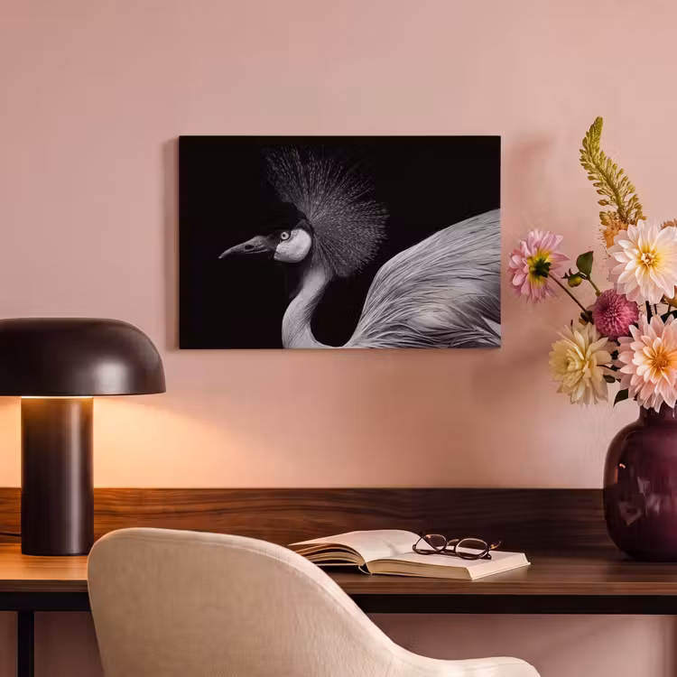 Canvas schilderij - Kraanvogel - Zwart - Wit - Vogel - Dieren — 4