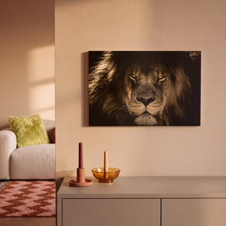 Canvas schilderij - Leeuw - Dieren - Zwart - Portret — 2